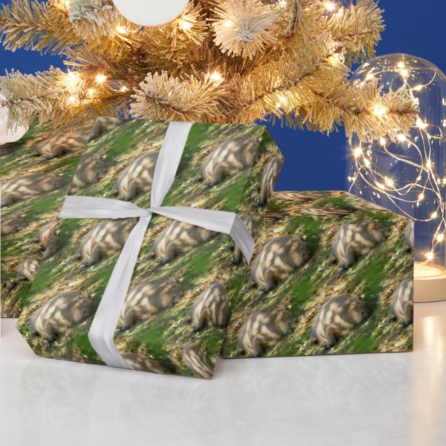 Papel De Regalo Un capibara sueña con el sol de verano (Vacaciones)