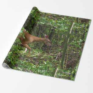 Papel De Regalo Un paseo a través de las maderas