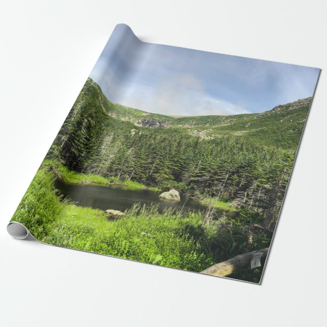 Papel De Regalo Un pequeño estanque en el valle de las montañas (Desenrollado)