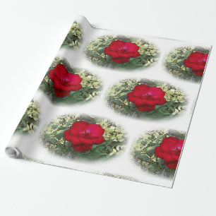 Papel De Regalo Un rosa solitario