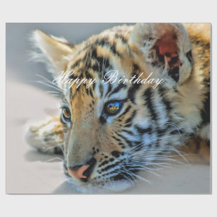 Papel De Regalo Un tigre de bebé lindo
