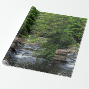 Papel De Regalo Una cascada miniatura