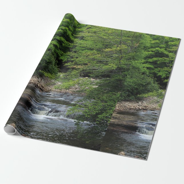 Papel De Regalo Una cascada miniatura (Desenrollado)