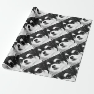 Papel De Regalo Una chihuahua blanco y negro
