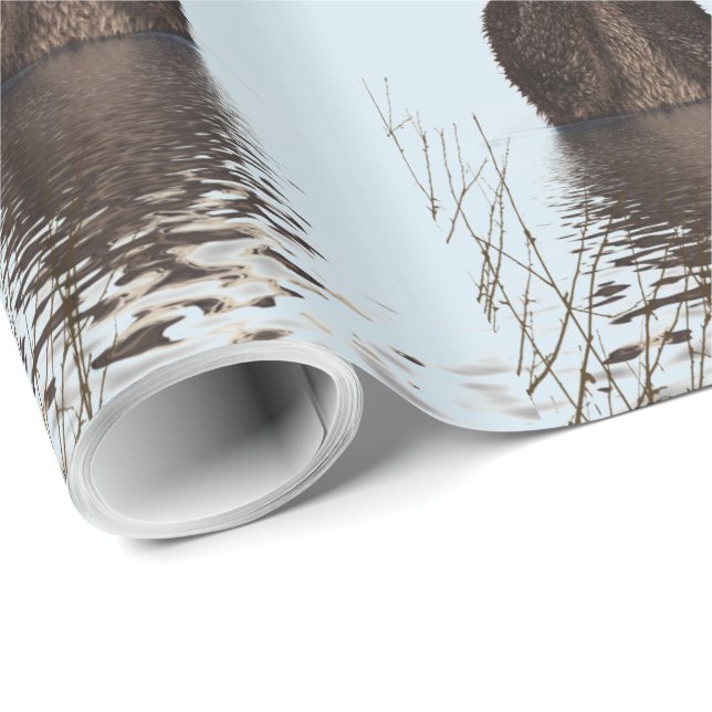 Papel De Regalo Una mancha de yeso en un estanque sosteniendo su c (Esquina del rollo)