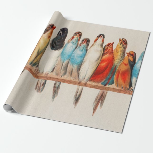 Papel De Regalo Una Percha De Aves (Desenrollado)