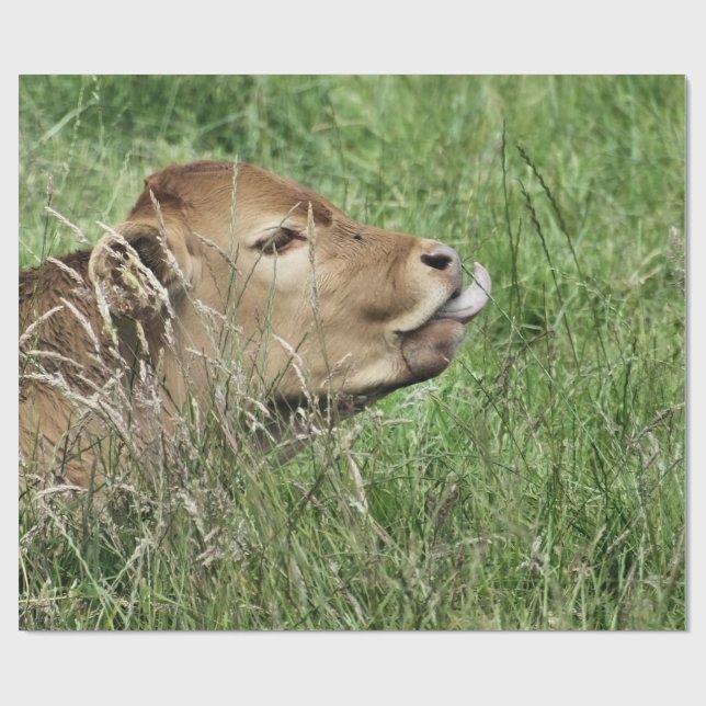 PAPEL DE REGALO VACA (Superficie plana)