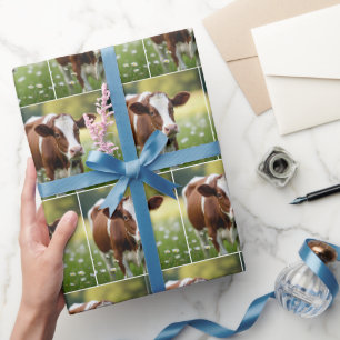 Papel De Regalo Vaca de Guernsey en campo de margaritas