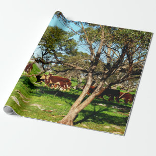 Papel De Regalo Vacas Marrones Y Blancas En La Gama,