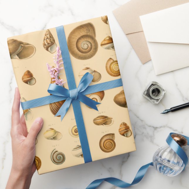 Papel De Regalo Variedad de Castillos  (Regalar)