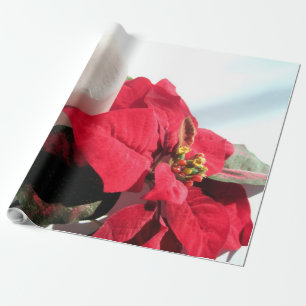 Papel De Regalo Velas y Poinsettia para Navidades
