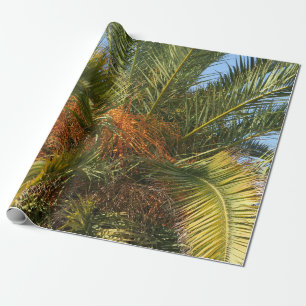 Papel De Regalo verano, palmas, hojas, tropicales, árboles, natura