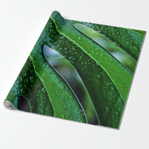 Papel De Regalo verde de hoja de planta de Monstera