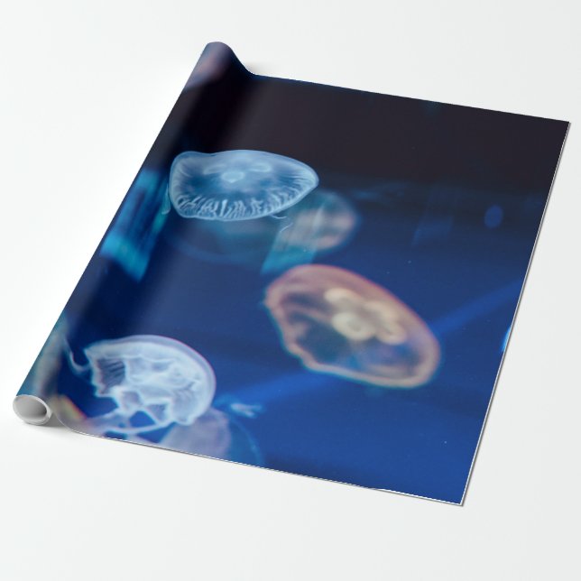 Papel De Regalo Vida marina de bonito (Desenrollado)