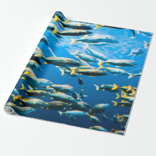 Papel De Regalo Vida marina de bonito