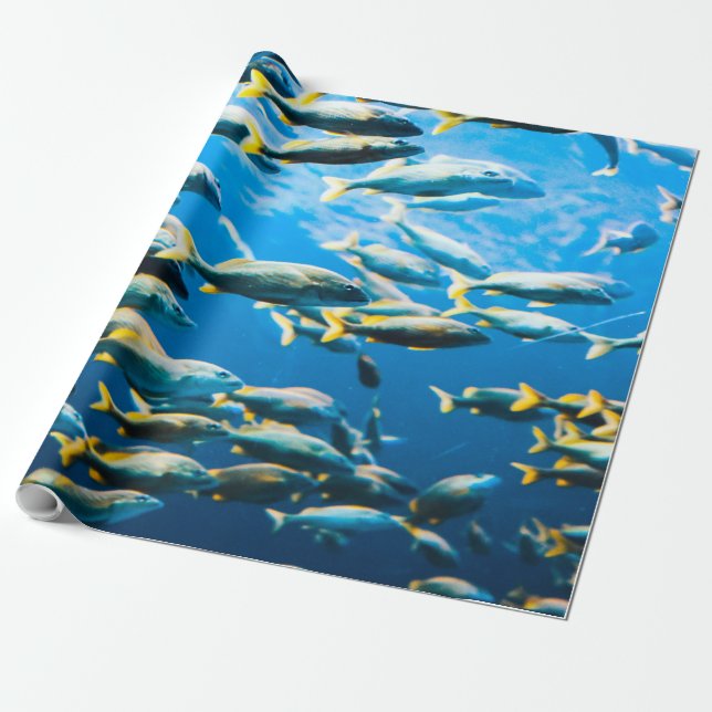 Papel De Regalo Vida marina de bonito (Desenrollado)