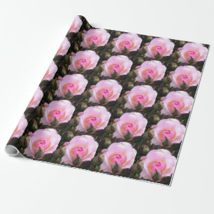 Papel De Regalo Vigésimo Aniversario Boda Rosa inglés perfecto