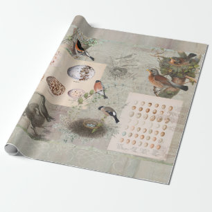 Papel De Regalo Vintage Bird Nest Script Ephemera Egges Decoupage