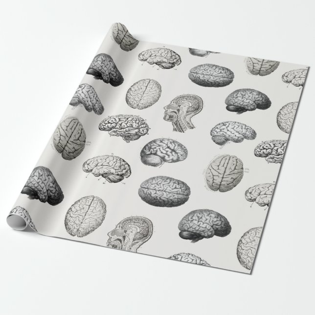 Papel De Regalo Vintage Brain Anatomy Biology Illustrations (Desenrollado)