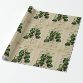 Papel De Regalo Vintage Ephemera Navidades Carol O Holy Night