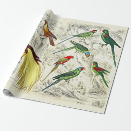 Papel De Regalo Vintage Parrots Tropical y Aves del Paraíso