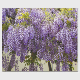 Papel De Regalo Violet Wisteria