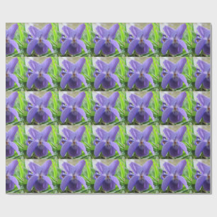 Papel De Regalo Violeta dulce