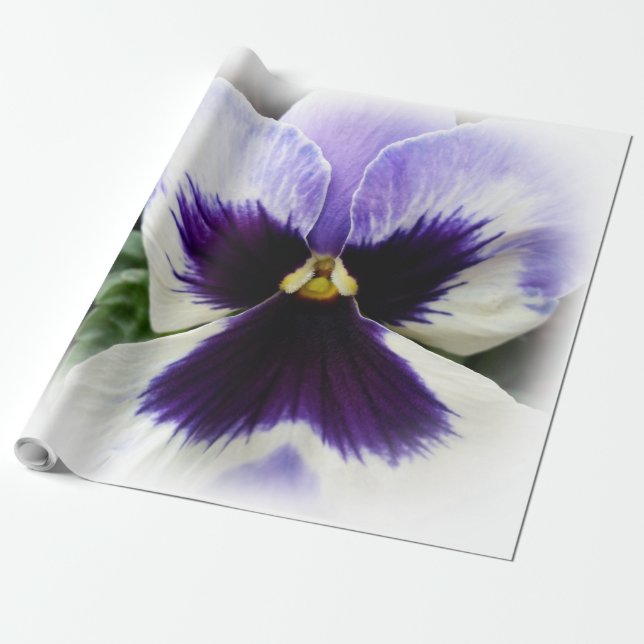 Papel De Regalo violeta profundo sobre pensamiento blanco (Desenrollado)
