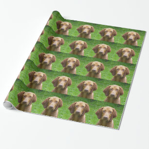 Papel De Regalo vizsla