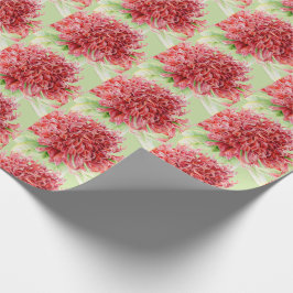 Papel De Regalo Waratah color de agua de botánica roja envoltura d