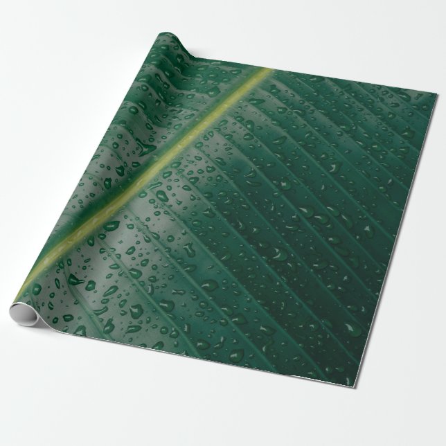 Papel De Regalo Water droplets on banana leaf (Desenrollado)
