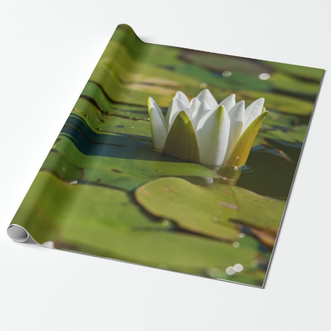 Papel De Regalo Water Lily Blossom (Desenrollado)