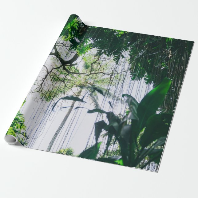 Papel De Regalo Waves marinas (Desenrollado)