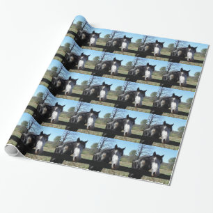 Papel De Regalo &White de Brown, caballo pintado, cielo azul