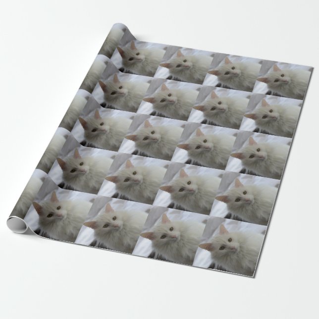 Papel De Regalo white turkish angora cat  wrapping paper (Desenrollado)