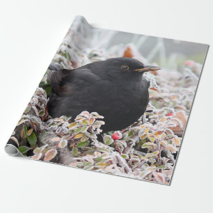 Papel De Regalo Winter Blackbird