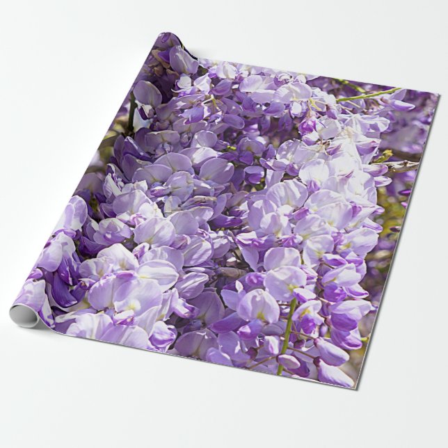 Papel De Regalo Wisteria Violeta de árbol de flores moradas (Desenrollado)