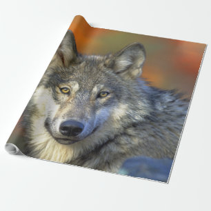 Papel De Regalo Wolf_2015_0302