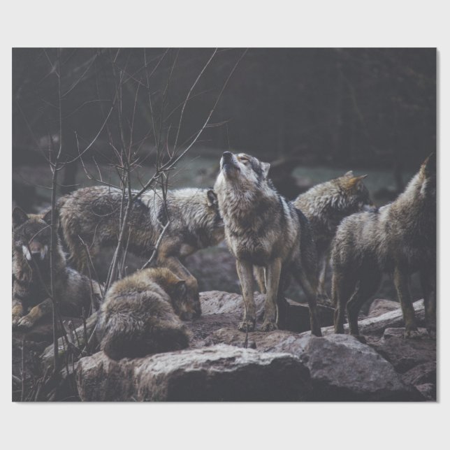 Papel De Regalo Wolf Pack (Superficie plana)