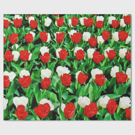 Papel De Regalo Wrapping Paper