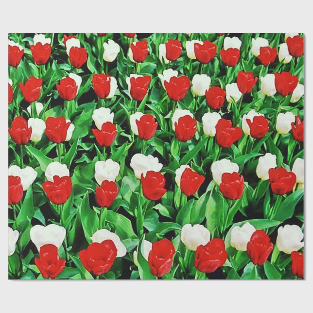 Papel De Regalo Wrapping Paper (Superficie plana)