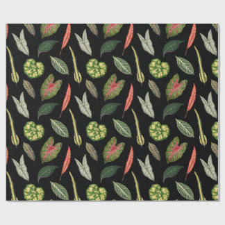 Papel De Regalo Wrapping Paper