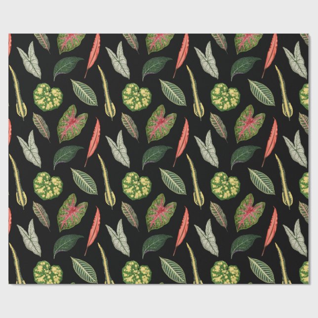 Papel De Regalo Wrapping Paper (Superficie plana)