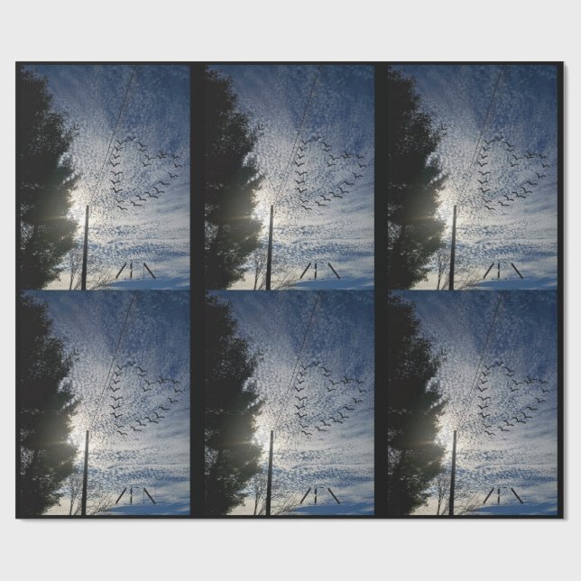 PAPEL DE REGALO ZEN (Superficie plana)