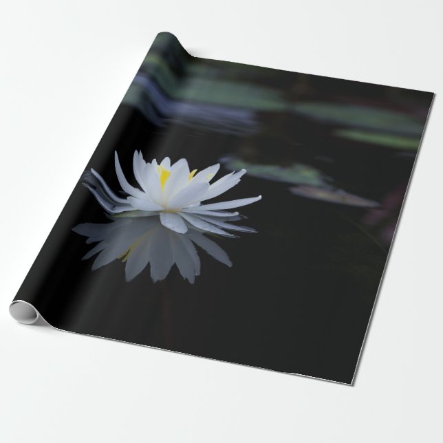 Papel De Regalo Zen de flores de Lotus blanco (Desenrollado)