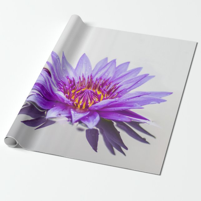 Papel De Regalo Zen de flores de Lotus morado blanco (Desenrollado)