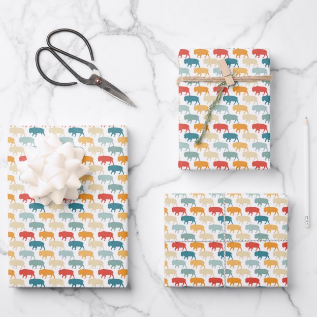 Papel de relleno de búfalo conjunto de hojas plana (Anverso)