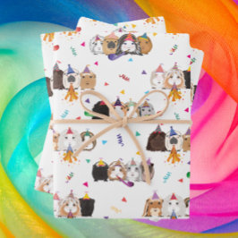 Papel de relleno de cerdo de Guinea