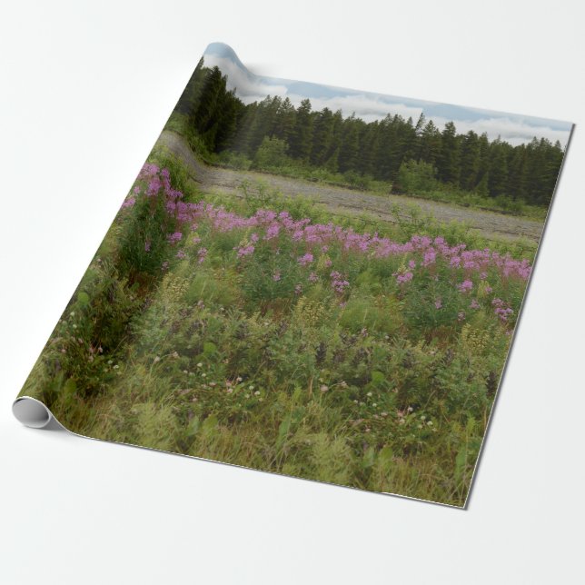Papel de relleno de Juneau Alaksa (Desenrollado)