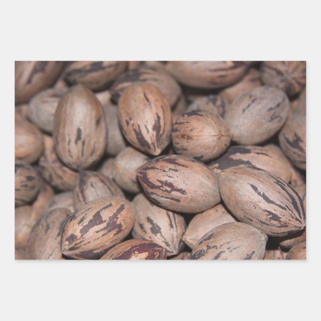 Papel de relleno de pecan (Anverso)